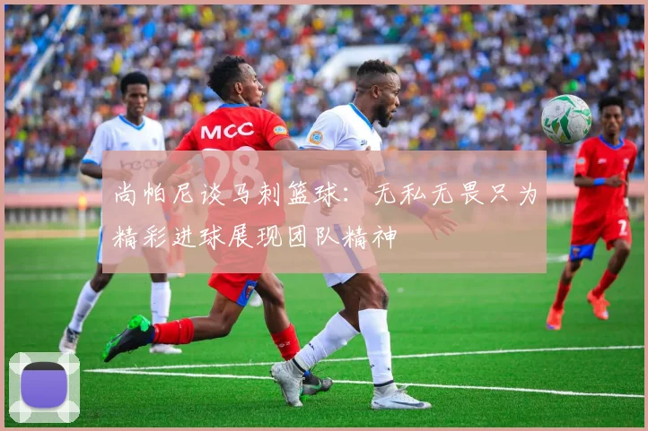 尚帕尼谈马刺篮球：无私无畏只为精彩进球展现团队精神